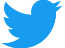 Logo Twittera - niebieska sylwetka lecącego ptaszka z otwartym dziobem